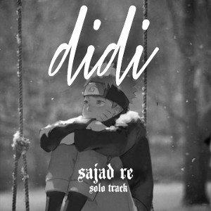 didi