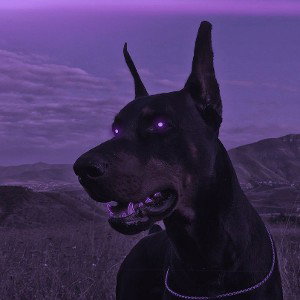  школьник  3