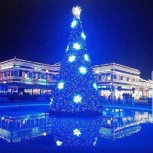 North Pole