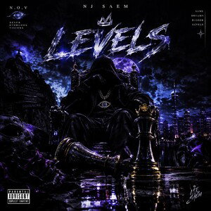 LEVELS