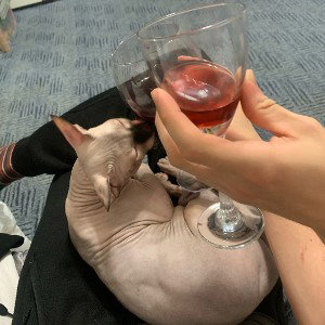 мотылек