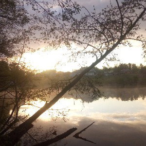 Во всём 
