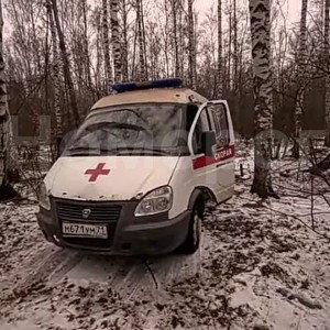 Там ревели горы