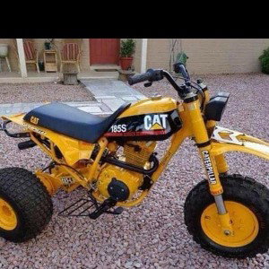 whip
