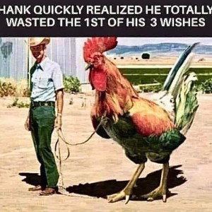 SHITTcRoW