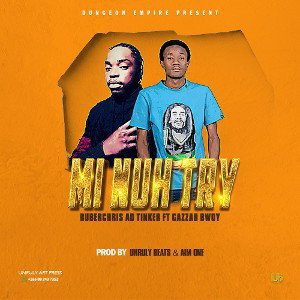 Me Nuh Try Pro By Aim One
