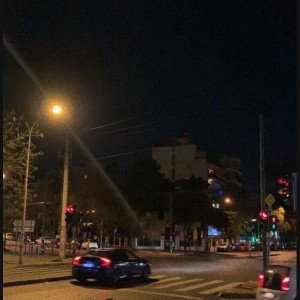 mAydın - Ankara Kedisi