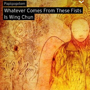 Whatever Comes From These Fists Is Wing Chun