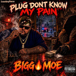 PLUG DONT KNOW MY PAIN