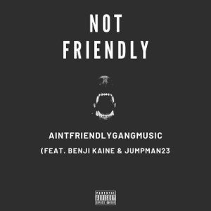 Not Friendly