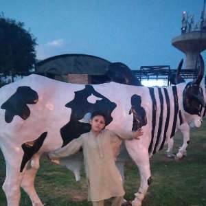 REHAN. REHAN2345