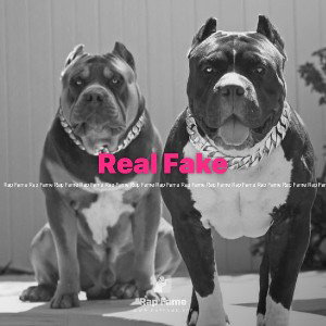 Real Fake 