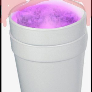 I love this lean.(freestyle)
