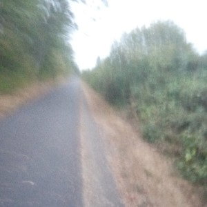 out side of UMG subsidies and on the street I recorded mixed.  