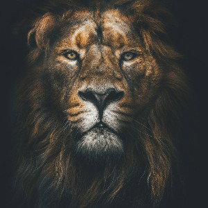 хочу хотя бы 100 подписчиков