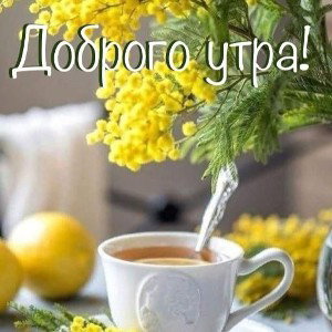 Пу2