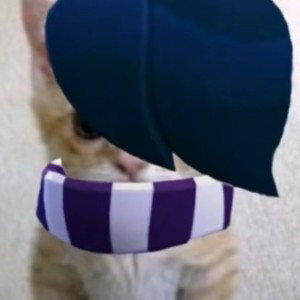 Это флатэ
