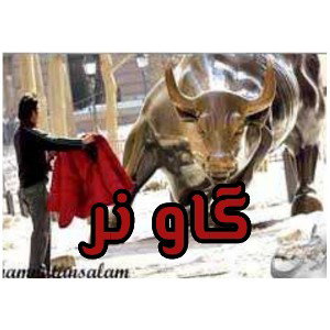 گاو نر.. آهنگ تا آخر گوش کن رپ فارسی بهم پیام داد