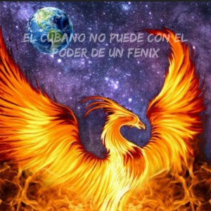 Pájaro supremo vs el cubano