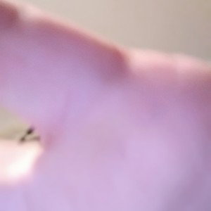 !!!Freunde Jetzt!!!