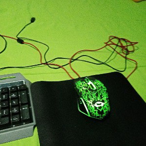 PG GXT