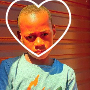 bamboo lwam