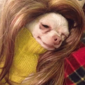 "Night'Owl"-Don't Be`Weave Her