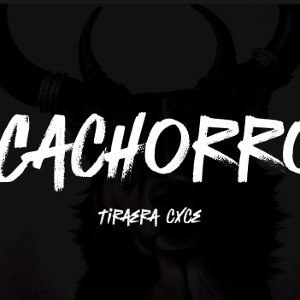 cachorro - tiraera 