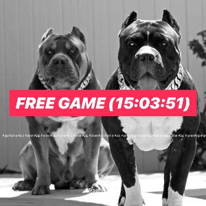 Free Game (15:03:51)