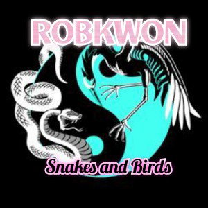 ROBKWON - Snakes and Birds  