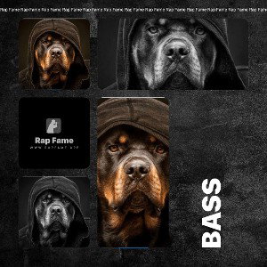 Bass