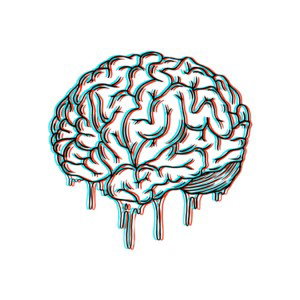 Brain