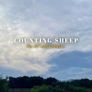 Counting Sheep (19:29:06)
