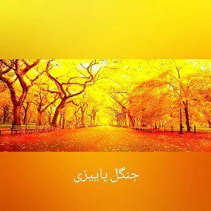 جنگل_پاییزی
