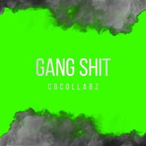 Levi x Ace - Gang Shit - Prod.Haake - [Official Audio] - insta - @c8collabz