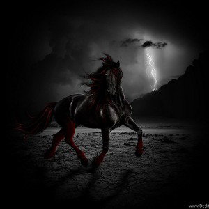 Storming Dark Horse 