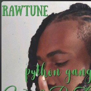 Rawtune-zombie music leak