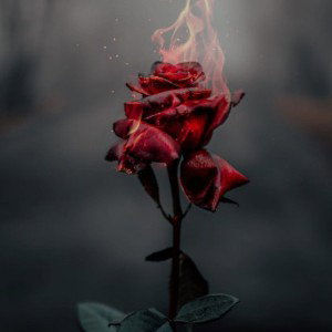 TYPE SHIT