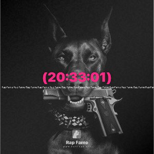 (20:33:01)