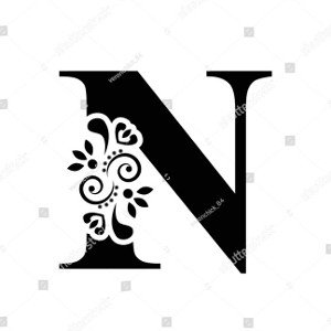 visiones nico del raffo