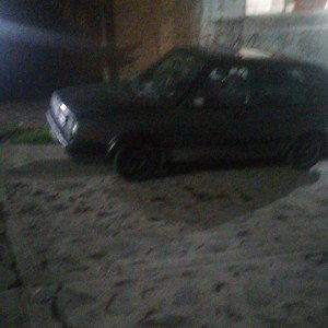 🍁🍻perros de la calle 🤑🐓