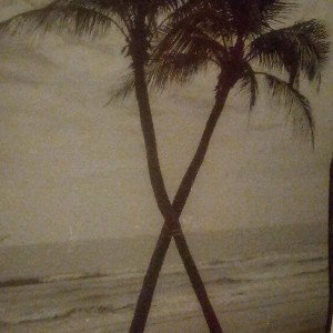 Ricco Delapaz -SHAKEN BAKEN 