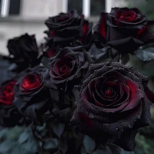 OGFAX-РОЗЫ🌹
