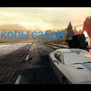 копы сзади