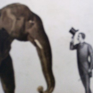 Baje el vidrio