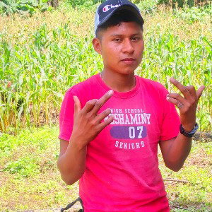 DIPER G