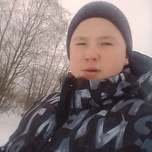 розы без снежные