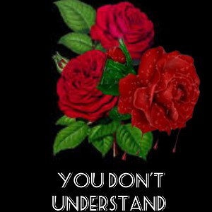 You Don't Understand 