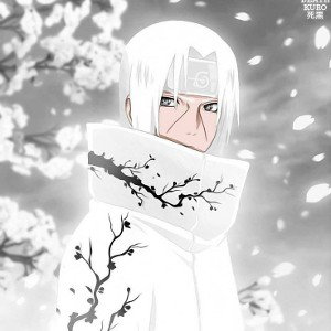 ninja