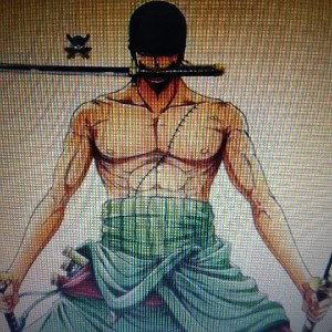 album impossible à arrêter 13 - Roronoa Zoro